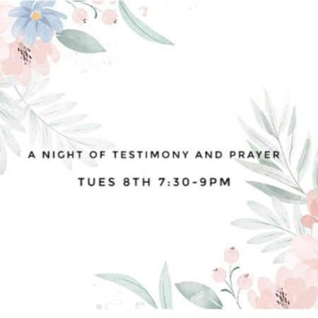Ladies Night of Prayer and Testimony